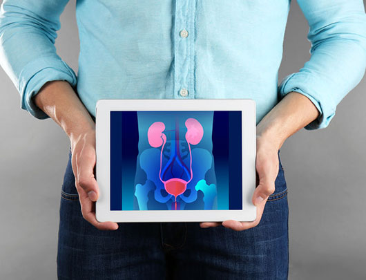 A man showing a digital image of a kidney on his tablet.